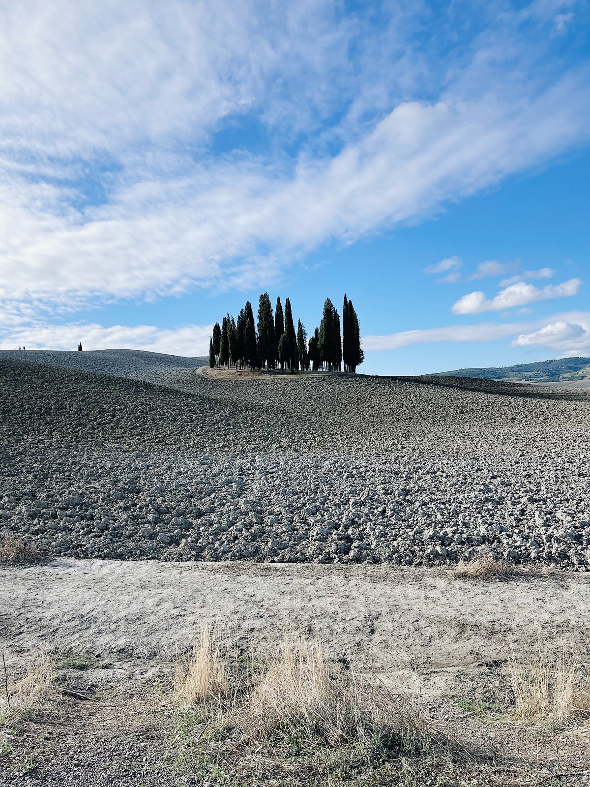 Deserto di Montalcino, i cipressetti - Credits Penelope Vaglini.jpg