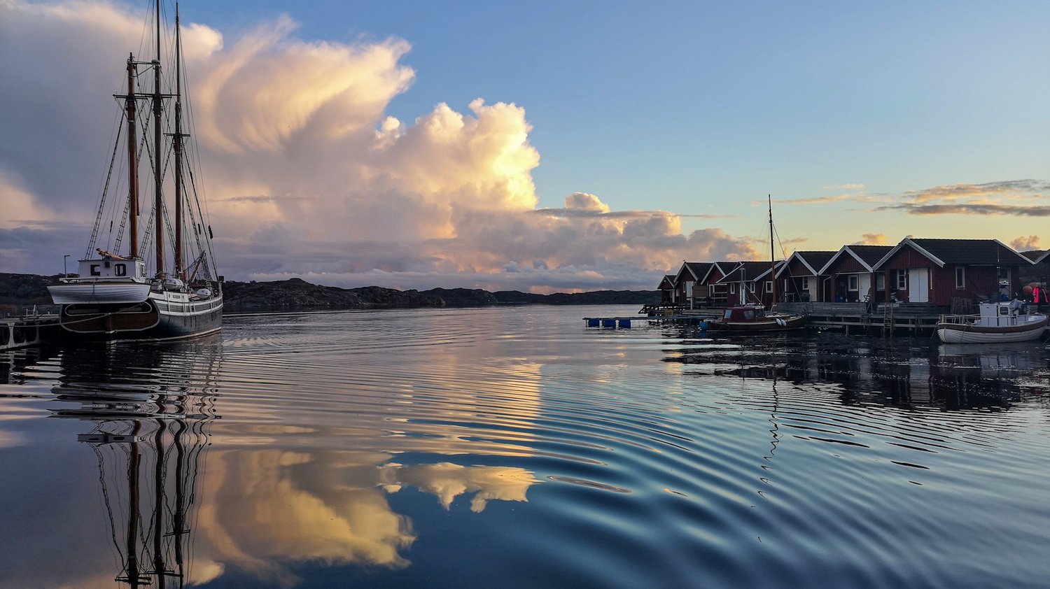 Where to go crabbing in West Sweden - oregon girl around the world