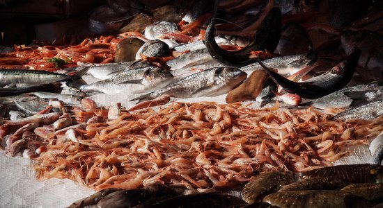 Mercato del pesce.jpg